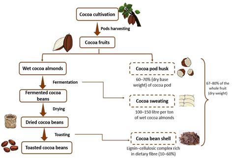 Cacao Nibs: Przemysłowe Zastosowania i Produkcja w Naszym Czisie!