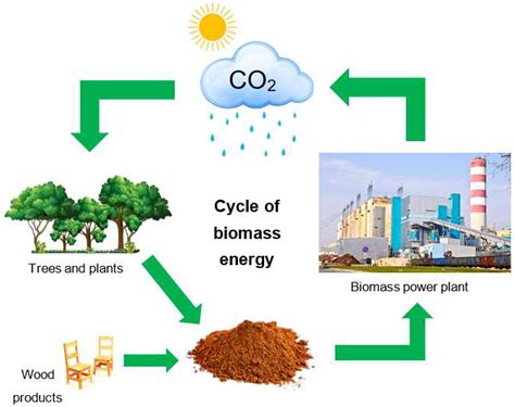 Zielona masa – nieodzowny składnik biopaliw i materiałów budowlanych przyszłości?